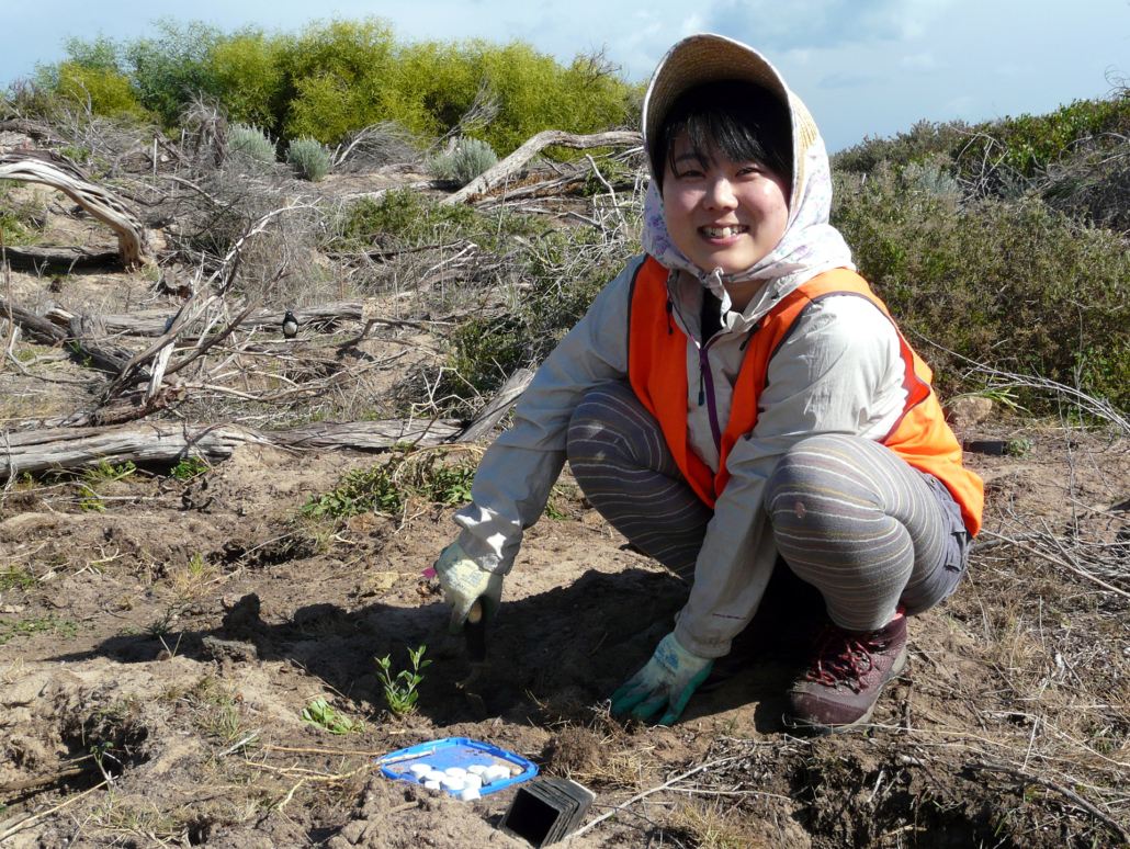 The lovely Asami (working with Conservation volunteers Australia)