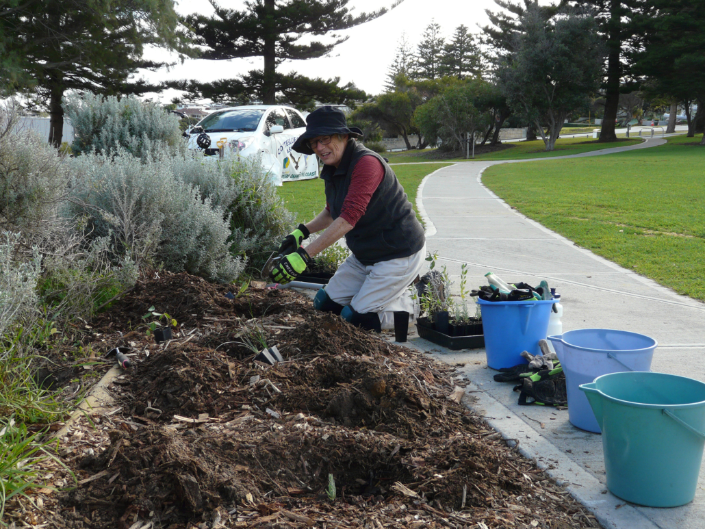 Patch of lawn now planted with local plants – Grant Marine Pk.
