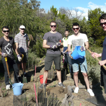 PwC planting with Coastcare